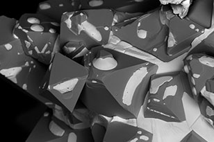 蛟河蛟河蔡司显微镜